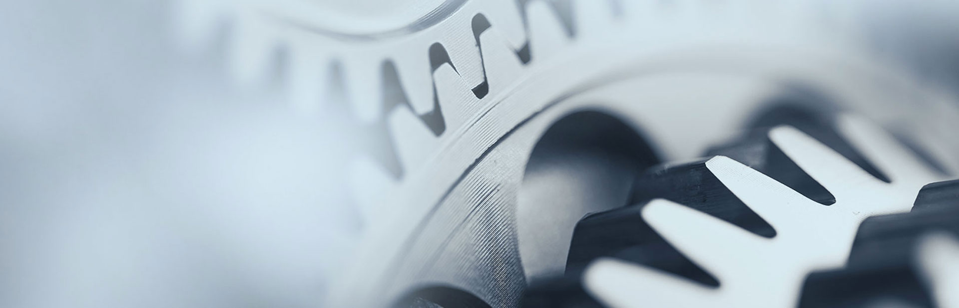 NSF10 監(jiān)測(cè)儀